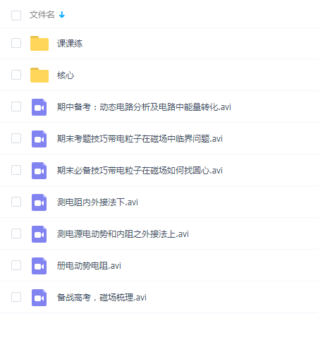 高中物理高二春季物理系统班王远